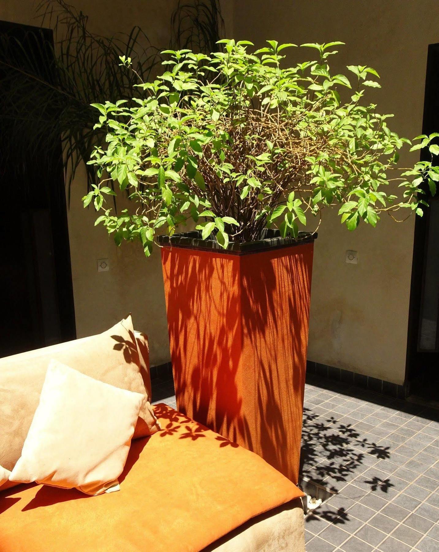 מרקש Riad Pierres Et Saveurs Soleil מראה חיצוני תמונה